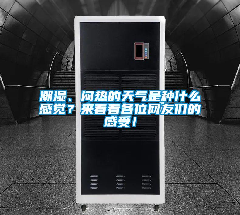 潮濕、悶熱的天氣是種什么感覺？來看看各位網(wǎng)友們的感受！