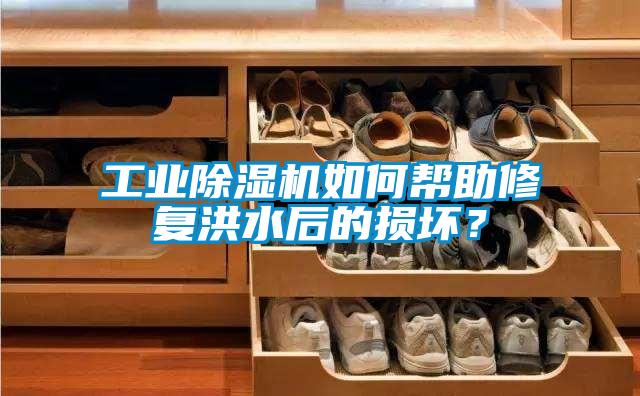 工業(yè)除濕機(jī)如何幫助修復(fù)洪水后的損壞？