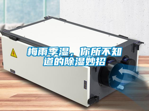 梅雨季濕，你所不知道的除濕妙招