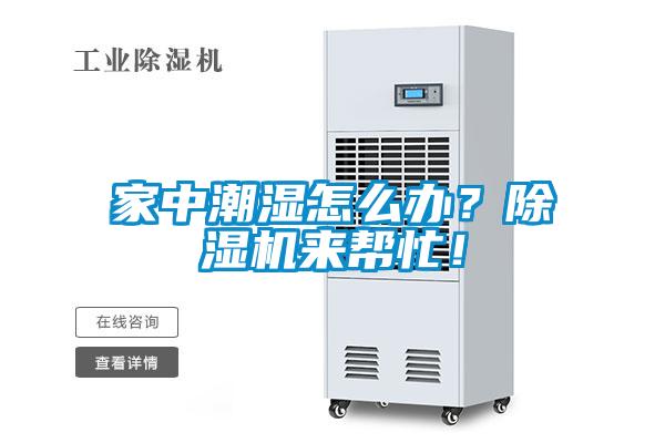 家中潮濕怎么辦？除濕機來幫忙！
