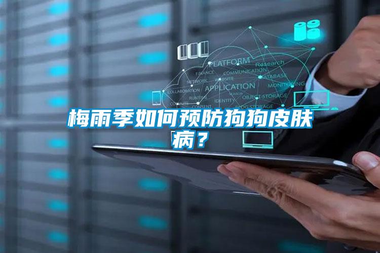 梅雨季如何預(yù)防狗狗皮膚??？