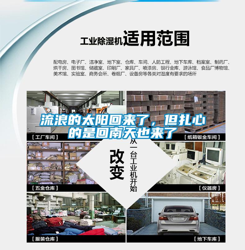 流浪的太陽回來了，但扎心的是回南天也來了