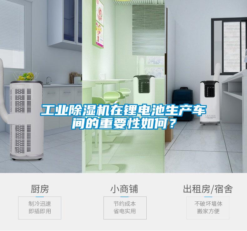 工業(yè)除濕機(jī)在鋰電池生產(chǎn)車(chē)間的重要性如何？