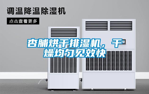 杏脯烘干排濕機(jī)，干燥均勻見效快