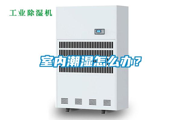 室內(nèi)潮濕怎么辦？