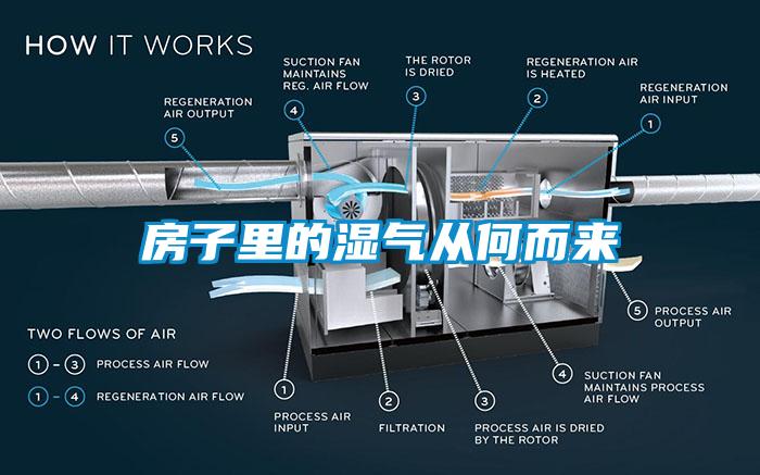 房子里的濕氣從何而來(lái)