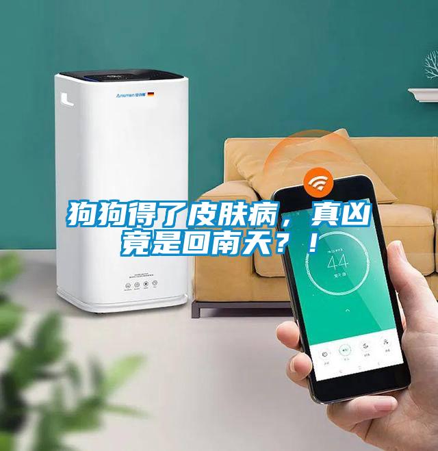 狗狗得了皮膚病，真兇竟是回南天？！