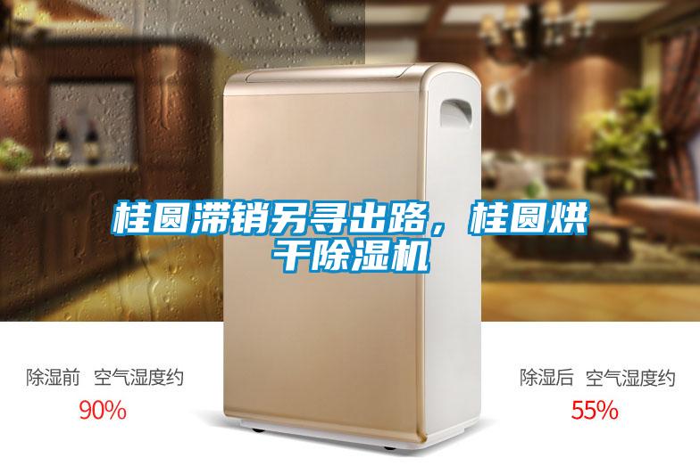 桂圓滯銷另尋出路，桂圓烘干除濕機