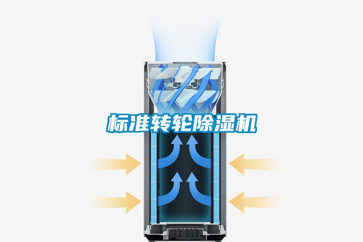 標(biāo)準(zhǔn)轉(zhuǎn)輪除濕機