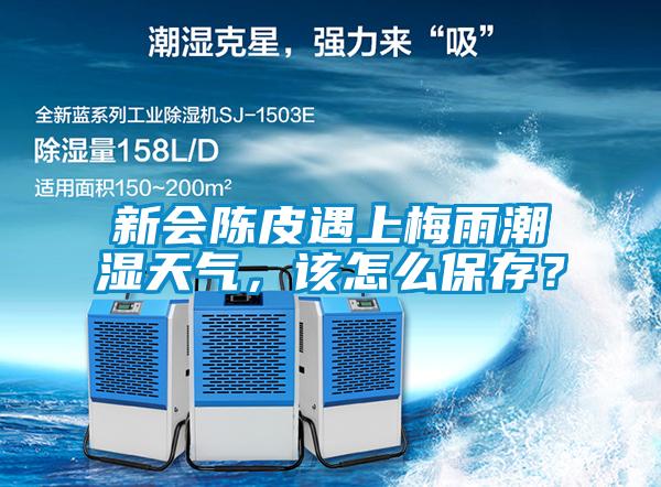 新會陳皮遇上梅雨潮濕天氣，該怎么保存？