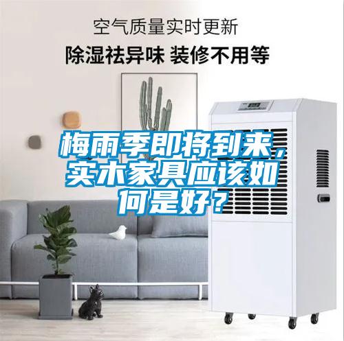 梅雨季即將到來，實木家具應該如何是好？