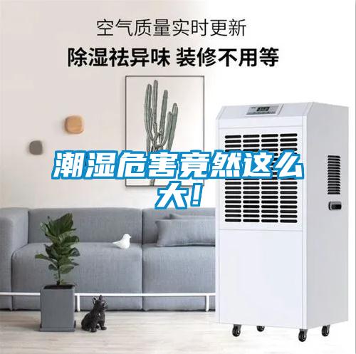 潮濕危害竟然這么大！