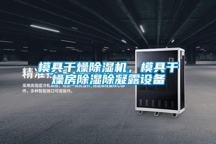 模具干燥除濕機(jī)，模具干燥房除濕除凝露設(shè)備