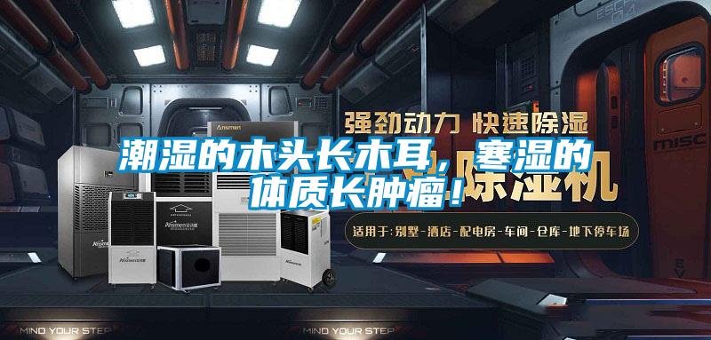 潮濕的木頭長(zhǎng)木耳，寒濕的體質(zhì)長(zhǎng)腫瘤！