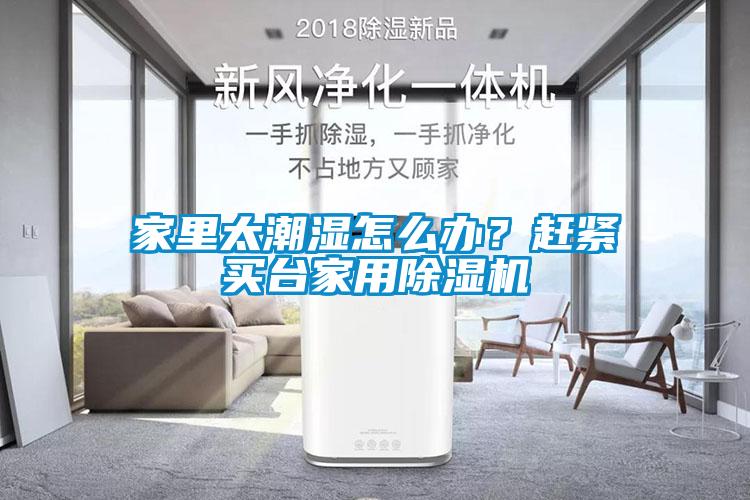 家里太潮濕怎么辦？趕緊買臺家用除濕機