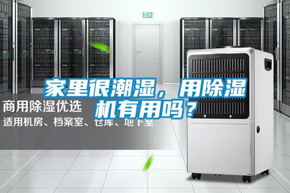 家里很潮濕，用除濕機(jī)有用嗎？