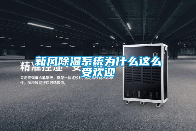 新風(fēng)除濕系統(tǒng)為什么這么受歡迎