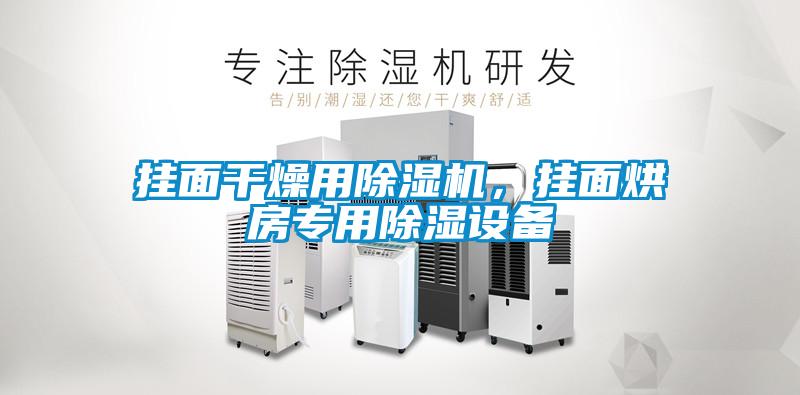 掛面干燥用除濕機(jī)，掛面烘房專(zhuān)用除濕設(shè)備