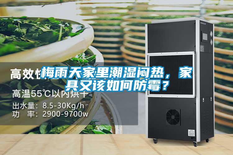 梅雨天家里潮濕悶熱，家具又該如何防霉？