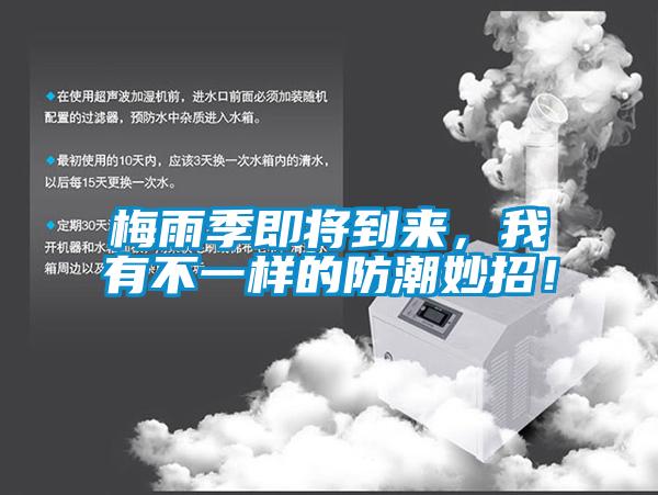 梅雨季即將到來，我有不一樣的防潮妙招！