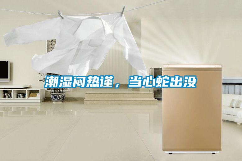 潮濕悶熱謹，當心蛇出沒