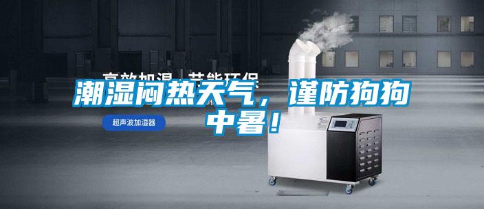 潮濕悶熱天氣，謹(jǐn)防狗狗中暑！