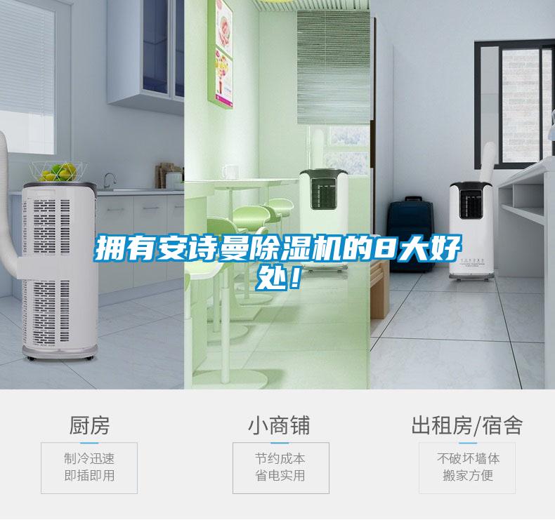 擁有安詩(shī)曼除濕機(jī)的8大好處！
