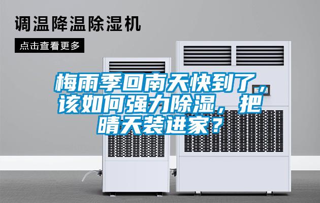 梅雨季回南天快到了，該如何強力除濕，把晴天裝進家？