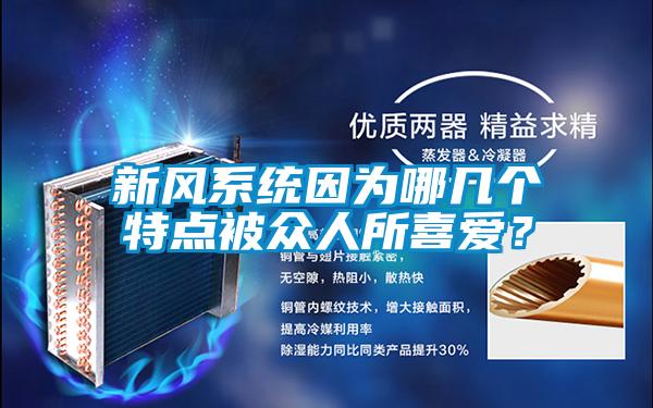 新風(fēng)系統(tǒng)因?yàn)槟膸讉€(gè)特點(diǎn)被眾人所喜愛?