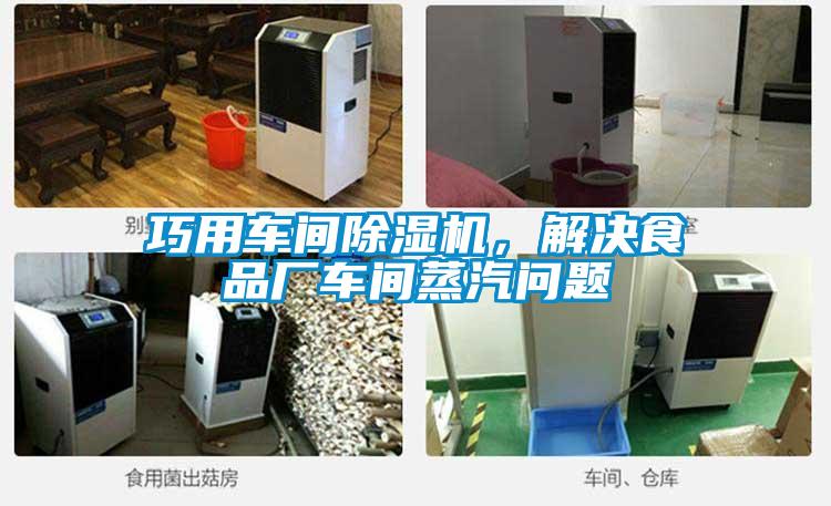 巧用車間除濕機，解決食品廠車間蒸汽問題