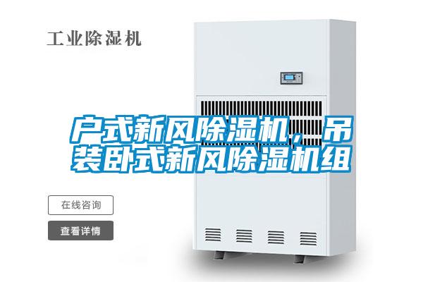 戶式新風(fēng)除濕機(jī)，吊裝臥式新風(fēng)除濕機(jī)組