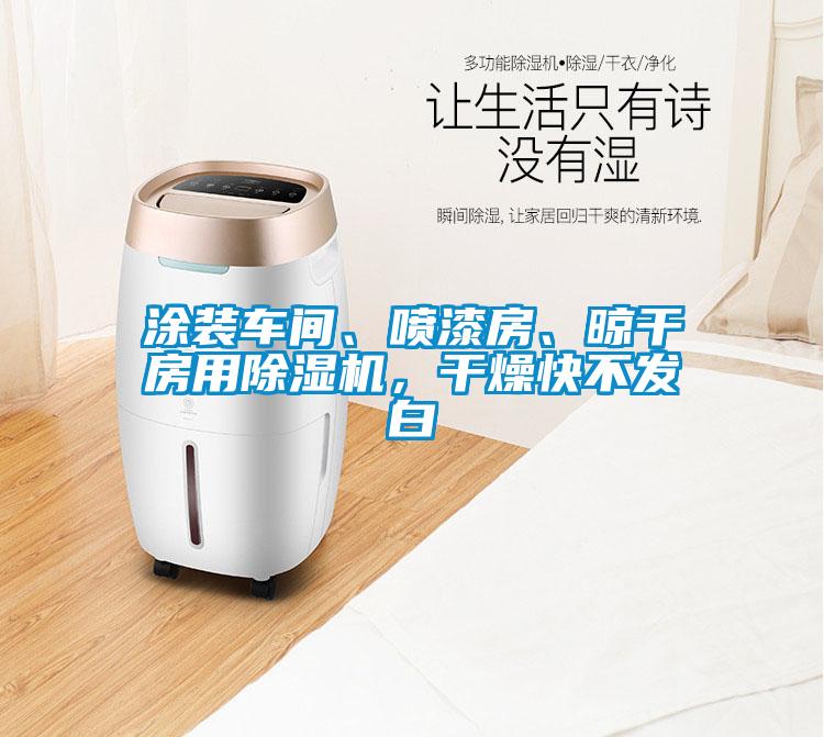 涂裝車間、噴漆房、晾干房用除濕機(jī)，干燥快不發(fā)白