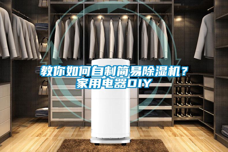 教你如何自制簡易除濕機？家用電器DIY