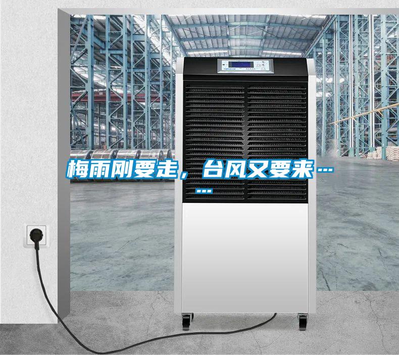 梅雨剛要走，臺(tái)風(fēng)又要來(lái)……