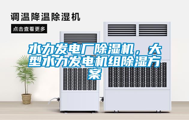 水力發(fā)電廠除濕機(jī)，大型水力發(fā)電機(jī)組除濕方案