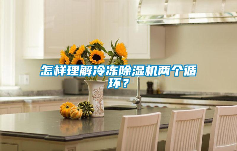 怎樣理解冷凍除濕機(jī)兩個(gè)循環(huán)？