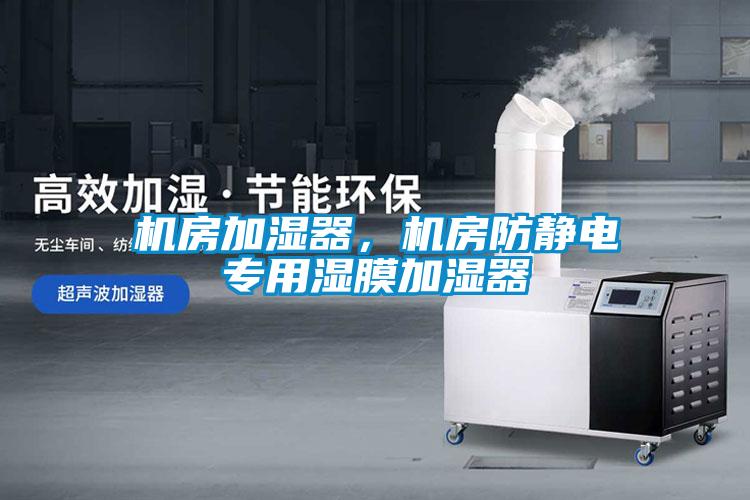 機(jī)房加濕器，機(jī)房防靜電專用濕膜加濕器
