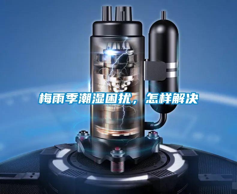 梅雨季潮濕困擾，怎樣解決
