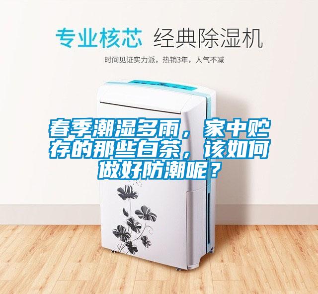 春季潮濕多雨，家中貯存的那些白茶，該如何做好防潮呢？