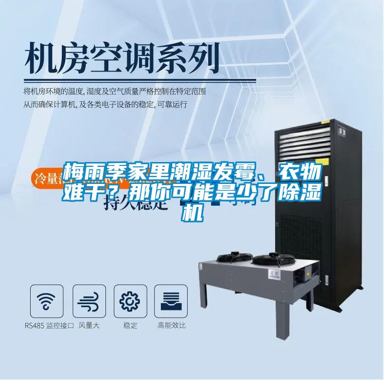 梅雨季家里潮濕發(fā)霉、衣物難干？那你可能是少了除濕機(jī)
