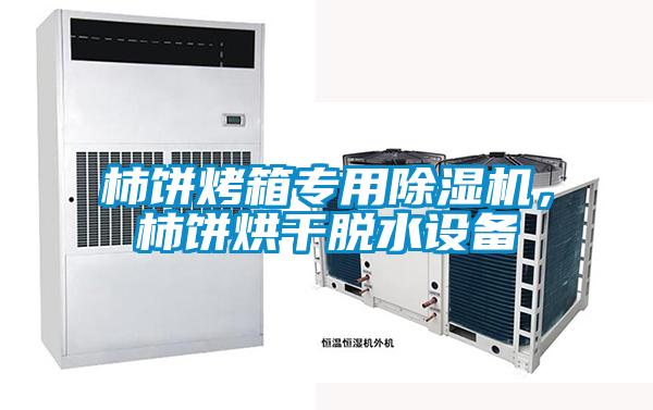 柿餅烤箱專用除濕機，柿餅烘干脫水設(shè)備