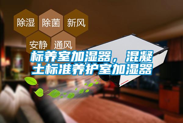 標(biāo)養(yǎng)室加濕器，混凝土標(biāo)準(zhǔn)養(yǎng)護(hù)室加濕器