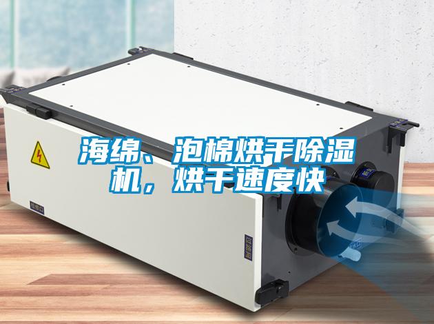 海綿、泡棉烘干除濕機(jī)，烘干速度快