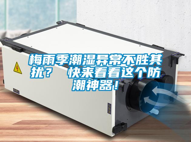 梅雨季潮濕異常不勝其擾？ 快來看看這個防潮神器！