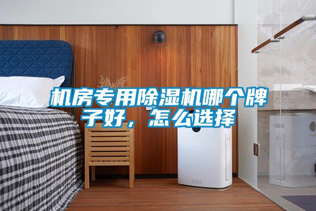 機(jī)房專用除濕機(jī)哪個牌子好，怎么選擇
