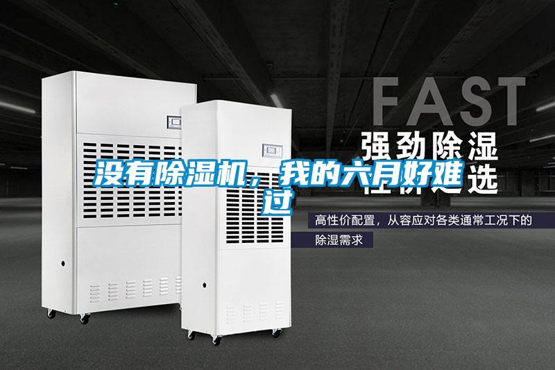 沒有除濕機，我的六月好難過
