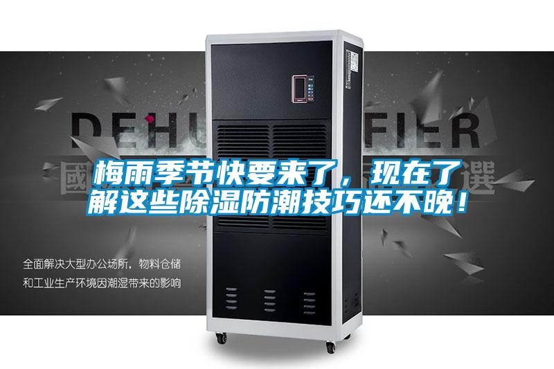 梅雨季節(jié)快要來了，現(xiàn)在了解這些除濕防潮技巧還不晚！