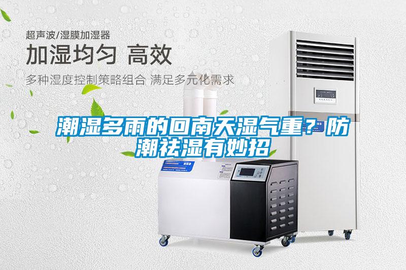 潮濕多雨的回南天濕氣重？防潮祛濕有妙招