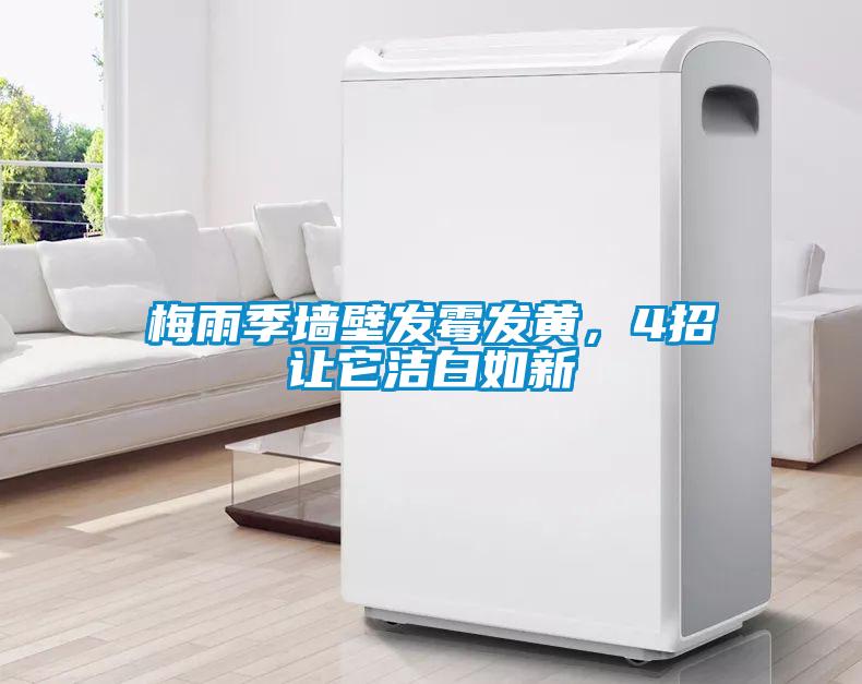梅雨季墻壁發(fā)霉發(fā)黃，4招讓它潔白如新
