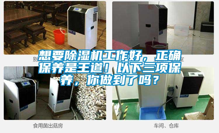 想要除濕機(jī)工作好，正確保養(yǎng)是王道！以下三項(xiàng)保養(yǎng)，你做到了嗎？